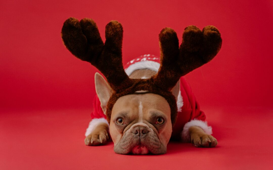 Overcoming Stress, Anxiety, and Pressure This Christmas