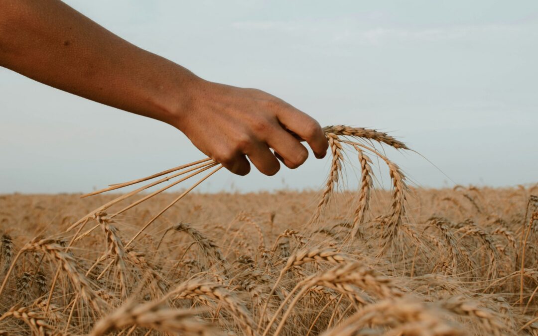 God May Pick You – But Not Fix You