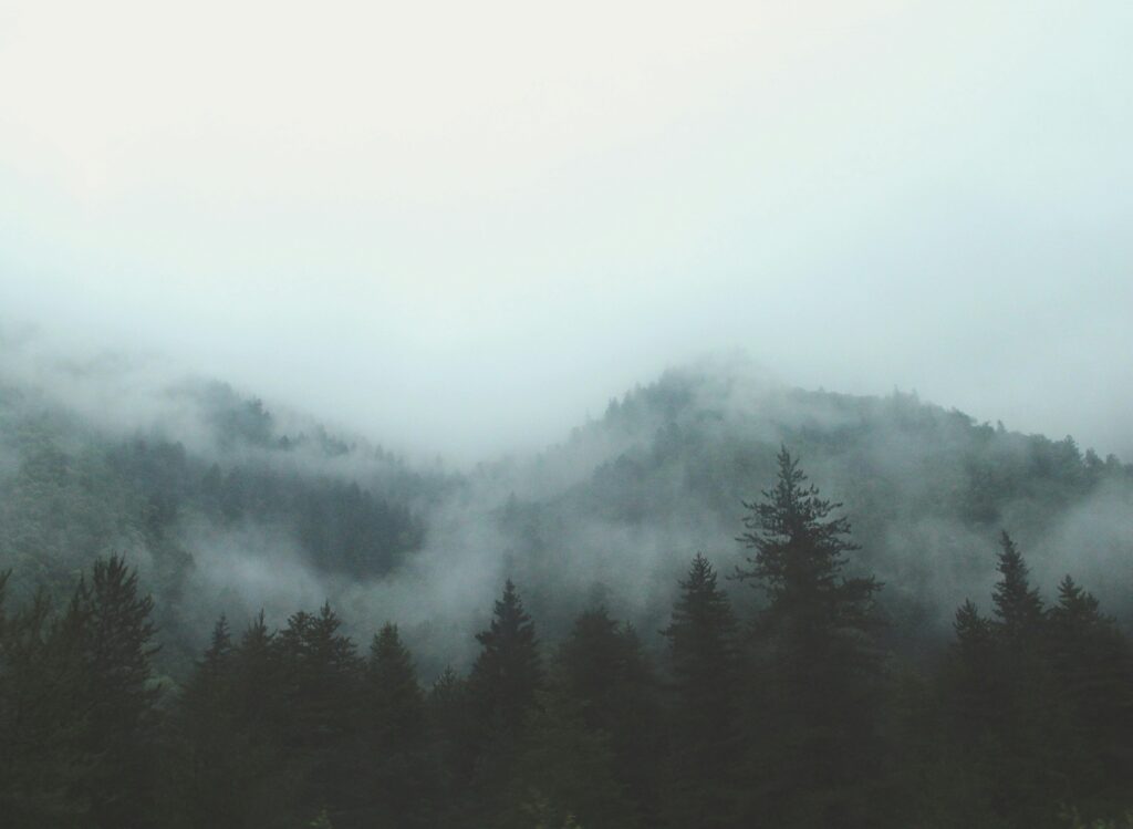 Misty mountain landscape with fog rolling over evergreen trees, symbolizing faith and perseverance through uncertainty.