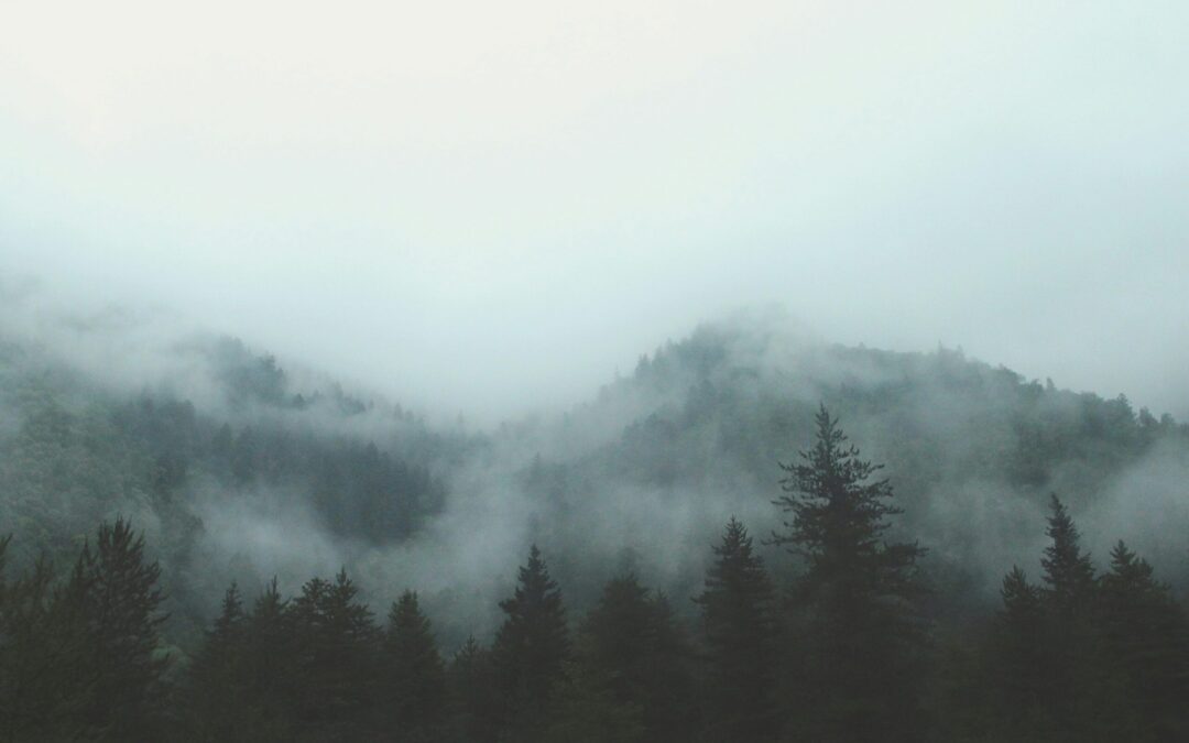 Even in the Midst